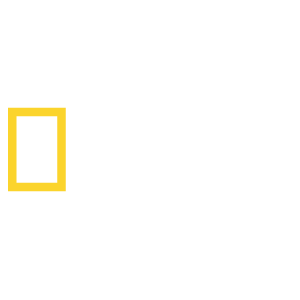natgeo network logo